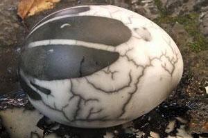 Naked Raku